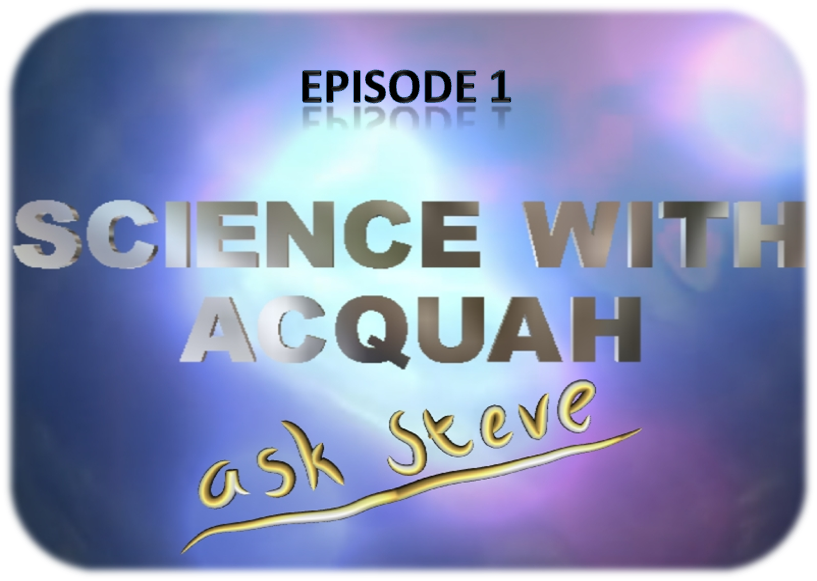 Ask Steve Episode 1